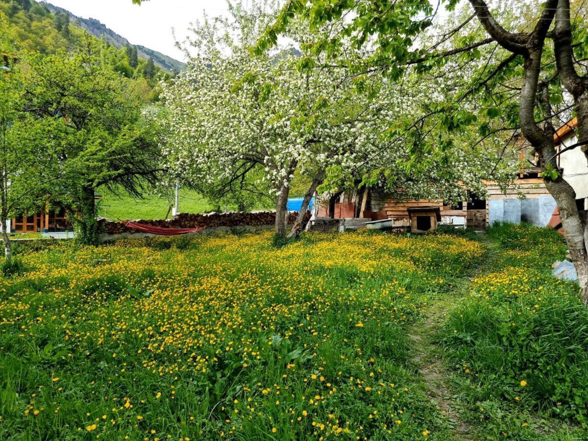 Girgola Bed & Breakfast Mestia Exterior photo